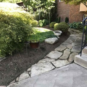 Bush Trimming by Real Deal Lawn Care LLC reviewed on January 7, 2026