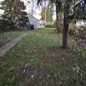 Leaf Removal by Smith Solves Situations LLC reviewed on September 19, 2025