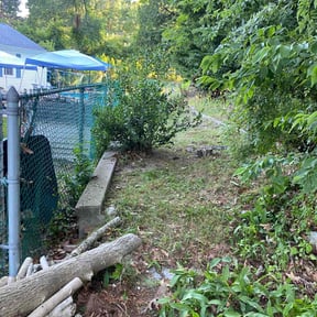 Leaf Removal by EV Great Valley Landscaping,LLC. reviewed on October 2, 2025