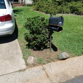 Bush Trimming by Mm lawn care llc reviewed on August 21, 2025