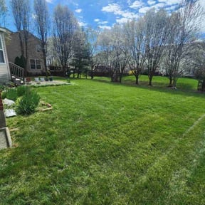 yard maintenance by Phil&#039;s Lawn Care reviewed on November 24, 2025