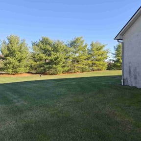 yard service by FALCON LANDSCAPE AND HOME SOLUTIONS reviewed on November 23, 2025