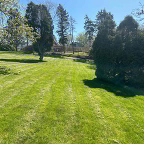 landscaping by MJ Lawncare reviewed on August 17, 2025
