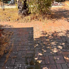 Leaf Removal by Minnesota quality cut lawn service LLC reviewed on September 8, 2025