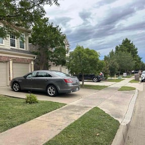 landscaping by Get My Yard in Shape reviewed on August 16, 2025