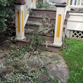 Bush Trimming by MartÃnez landscaping reviewed on August 18, 2025