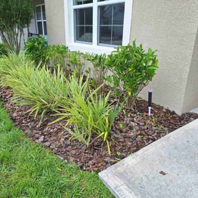 Bush Trimming by Kickin' Grass Lawn Service reviewed on August 17, 2025