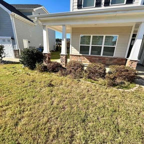 Bush Trimming by Marsha's Lawn Care & Snow Removal Services reviewed on August 17, 2025