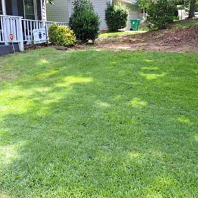 residential landscaping by Terminus Lawn Care reviewed on August 21, 2025