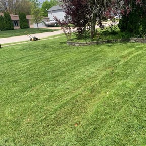 lawn service by Abams lawn care reviewed on May 26, 2024