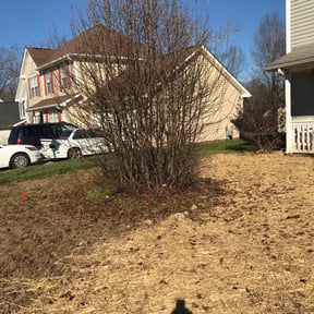 Bush Trimming by Schooley Lawn Care reviewed on August 20, 2025
