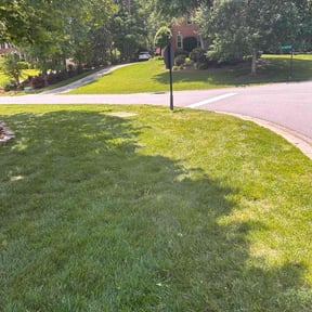 gardening service by Caldwell Lawn Care reviewed on August 16, 2025