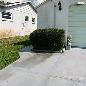 Bush Trimming by Ilene’s Cleanings! (home and lawn services) reviewed on August 15, 2025