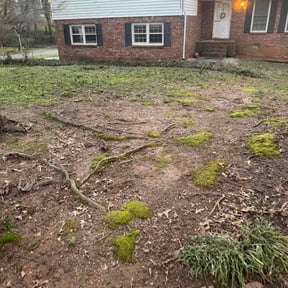 Leaf Removal by Brandons lawn care reviewed on August 23, 2026