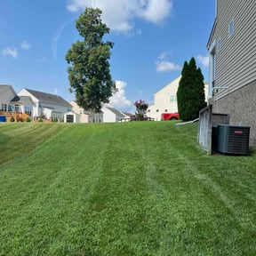 yard maintenance by Stith Enterprises, LLC reviewed on August 18, 2025