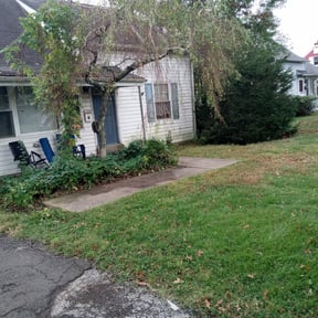 Bush Trimming by Terry Lawncare reviewed on August 17, 2025