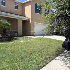 Leaf Removal by Chemen reviewed on August 14, 2026
