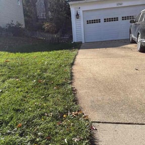 Leaf Removal by Tidewater Lawn Solutions, LLC reviewed on October 18, 2025