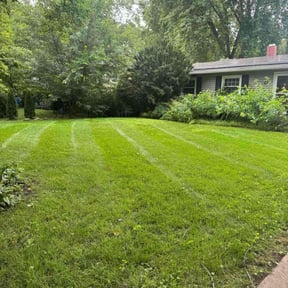 landscaping by Burton's Landscaping reviewed on August 16, 2025