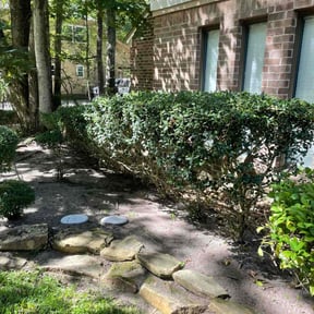 Bush Trimming by Brantnew4U Property Management LLC reviewed on July 8, 2025