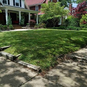 yard work by Equality Lawn Care reviewed on August 20, 2025