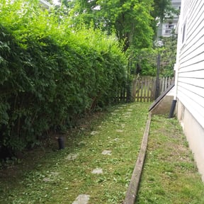 Bush Trimming by Florida’s Finest lawn care reviewed on August 16, 2025