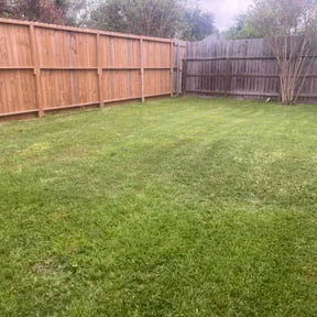 yard maintenance by Top Cuts Lawncare reviewed on August 21, 2025