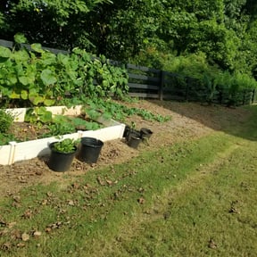 Flower Bed Weeding by Rivera and Son's Services reviewed on August 18, 2025