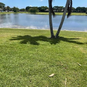 yard service by Affordable Landscaping reviewed on November 24, 2025