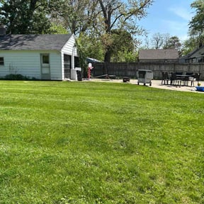 yard care by Mow & Go reviewed on August 20, 2025