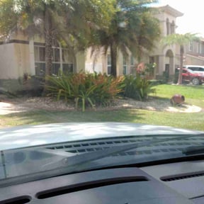 Bush Trimming by Rios Enterprise Lawn Mowing Services LLC reviewed on August 18, 2025