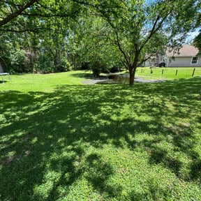 yard care by LR Lawn Care & Landscaping reviewed on August 18, 2025