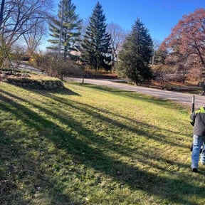 Leaf Removal by Anointed Services reviewed on November 21, 2025