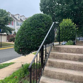 Bush Trimming by Reliable Maintenance Solutions reviewed on July 4, 2026
