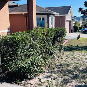 Bush Trimming by Klean Kutz reviewed on November 22, 2025