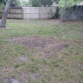 Leaf Removal by The Landscape Watch reviewed on August 16, 2025