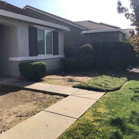 Bush Trimming by mcmillin lawn care reviewed on October 19, 2025