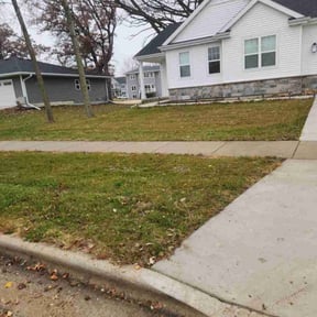 Leaf Removal by Natures Own reviewed on November 22, 2025