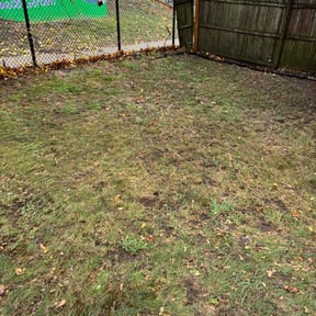 Leaf Removal by Proper Edge Lawn Care reviewed on September 30, 2025