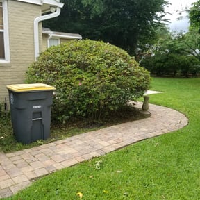 Bush Trimming by Hernandez Family Lawn reviewed on August 15, 2025