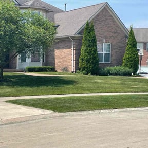 turf care by Sweat & Soil reviewed on October 28, 2024