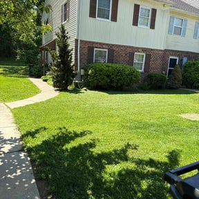 residential landscaping by Rice Landscaping reviewed on August 15, 2025