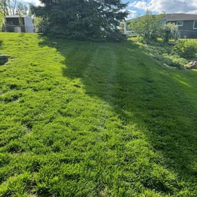 landscape maintenance by Holmes Lawn Care reviewed on August 21, 2025