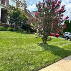 gardening service by Negotiable Helping Hands Landscaping reviewed on August 18, 2025