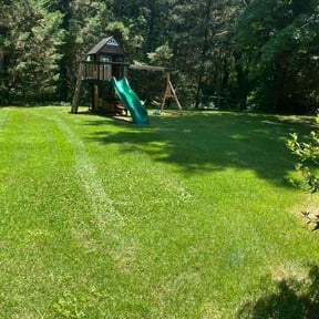 gardening service by lazer lawns reviewed on August 20, 2025