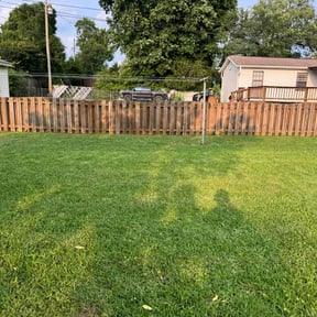 landscape maintenance by The Fairy Yardmother reviewed on August 17, 2025