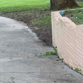 Leaf Removal by Absolute Contracting LLC reviewed on July 6, 2026
