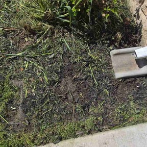 Flower Bed Weeding by Family Lawn Care reviewed on April 6, 2026