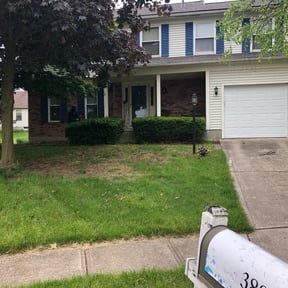 Bush Trimming by JH Landscape LLC reviewed on August 20, 2025