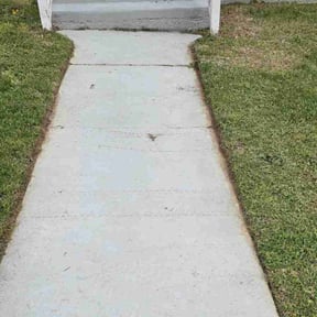 turf care by Ford year-round Lawn Service reviewed on August 5, 2023